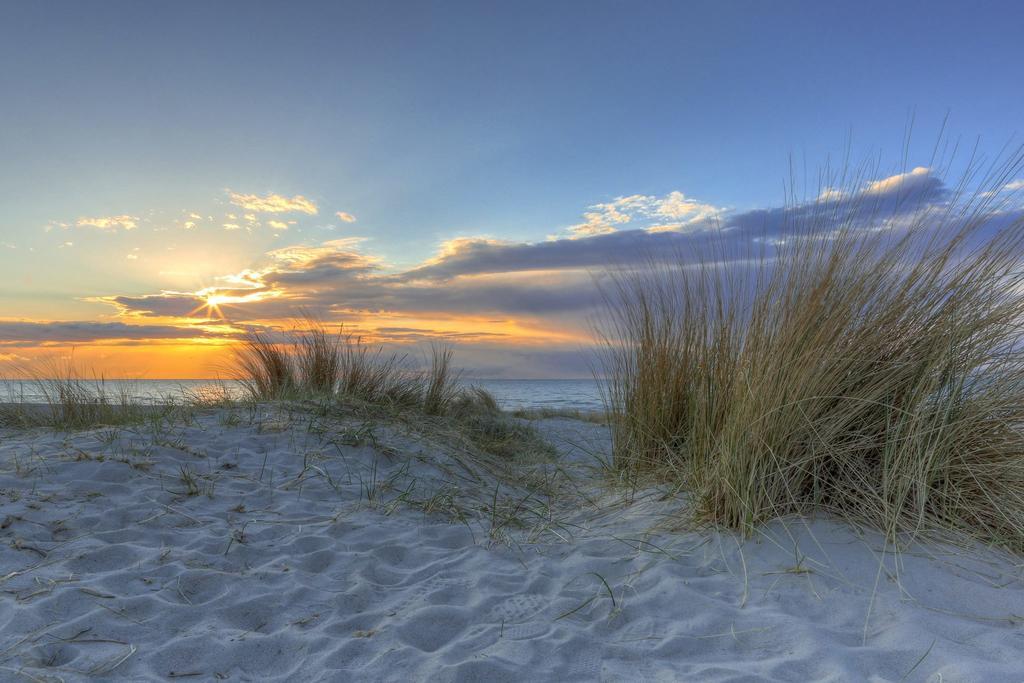 Urlaub Im Wintergarten Rostock-Lichtenhagen-Dorf Apartment ภายนอก รูปภาพ